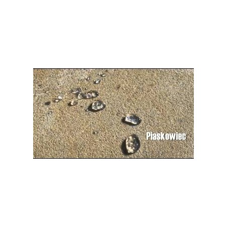 impregnat-do-piaskowca