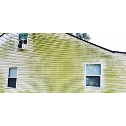 zielone-naloty-na-elewacji