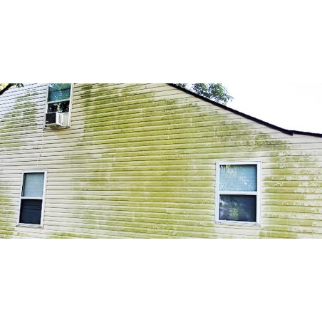 zielone-naloty-na-elewacji