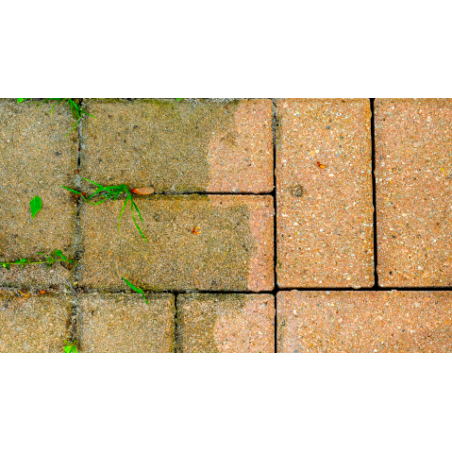 czym-czyścić-kostkę-brukową-z-mchu