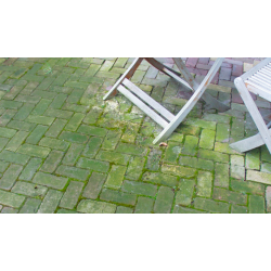 środek-do-usuwania-mchu-z-kostki-brukowej