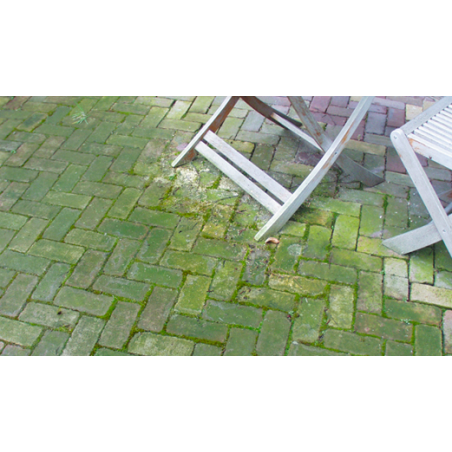 środek-do-usuwania-mchu-z-kostki-brukowej