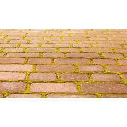 preparat-do-usuwania-mchu-z-kostki