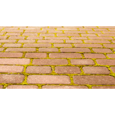 preparat-do-usuwania-mchu-z-kostki