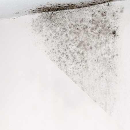 Nanophos DeSalin™ AM 0,5L