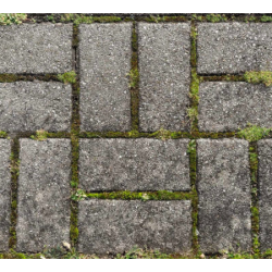 środek-do-usuwania-mchu-z-kostki-brukowej