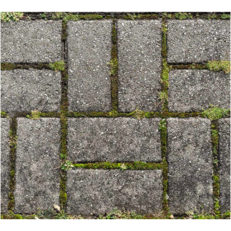 środek-do-usuwania-mchu-z-kostki-brukowej
