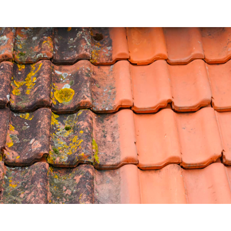 preparat-do-usuwania-mchu-z-dachu