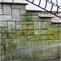 preparat-do-czyszczenia-zielonych-nalotow