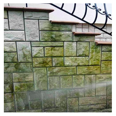 preparat-do-czyszczenia-zielonych-nalotow